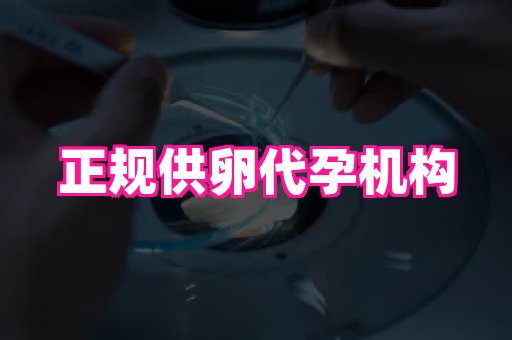 深圳助孕网站 1
