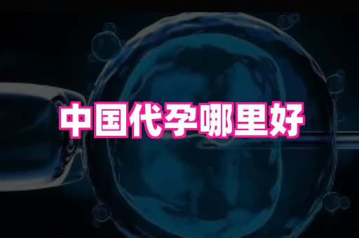 深圳助孕网站 2